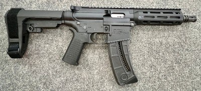 SMITH & WESSON M&P 15-22p .22 LR