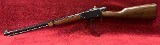 HENRY H001T .22 S/L/LR