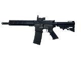 PALMETTO STATE ARMORY PA-15 .300 AAC BLACKOUT - 1 of 3