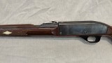 REMINGTON Nylon 66 .22 LR - 3 of 3