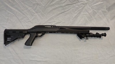RUGER 10/22 .22 LR