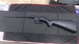 HENRY US SURVIVAL .22 LONG