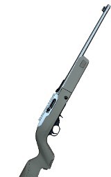 RUGER 10/22 .22 LR