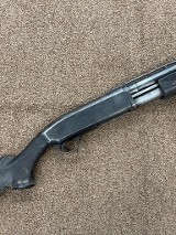 BROWNING BPS FIELD 10 GA - 2 of 3