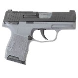 SIG SAUER P365 9MM LUGER (9X19 PARA) - 2 of 3