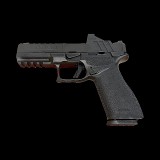 SPRINGFIELD ARMORY ECHELON GEAR UP 25 PACKAGE 9MM LUGER (9x19 PARA) - 2 of 3