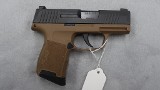 SIG SAUER P365 9MM LUGER (9x19 PARA) - 3 of 3