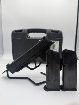 SIG SAUER P365 X 9MM LUGER (9x19 PARA)
