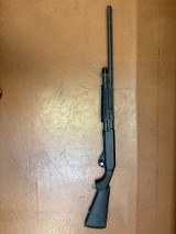 STOEGER P3500 12 GA - 2 of 2