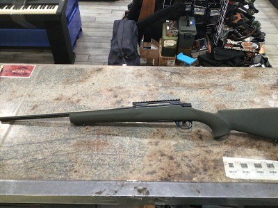 HOWA 1500 .25-06 REM