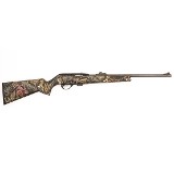 REMINGTON MODEL 597 LIMITED EDITION DALE EARNHARDT JR .22 LR - 2 of 3 REMINGTON MODEL 597 LIMITED EDITION DALE EARNHARDT JR .22 LR - 2 of 3
