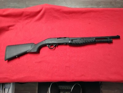 ESCORT SLUGGER 12 GA