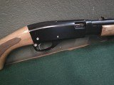 REMINGTON 572 Buckskin Fieldmaster .22 LR - 2 of 3