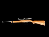 RUGER 10/22 .22 LR