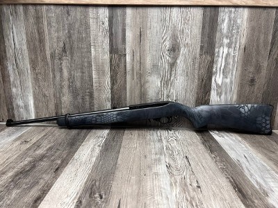 RUGER 10/22 22 LONG RIFLE (22LR)
