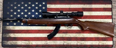 RUGER 10/22 .22 LR