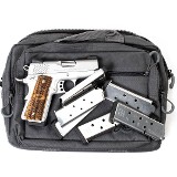 KIMBER STAINLESS ULTRA RAPTOR II .45 ACP - 3 of 3