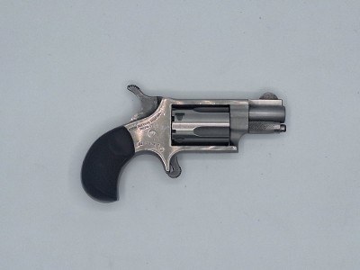 NORTH AMERICAN ARMS 22LR .22 LR