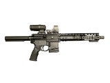 PALMETTO STATE ARMORY PA-15 .300 AAC BLACKOUT