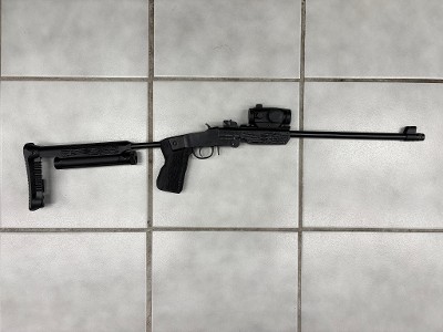 CHIAPPA FIREARMS Little Badger .22 LR