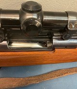 RUGER m-77 .250-3000 SAVAGE - 3 of 3
