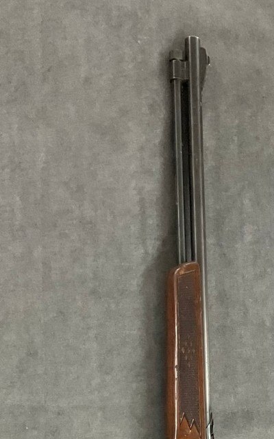 WINCHESTER 290 .22 long/.22 lr