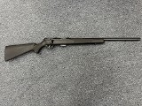 SAVAGE ARMS 93 .22 WMR