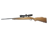 SAVAGE ARMS 110E .270 WIN