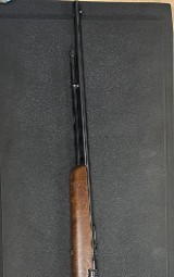 SAVAGE ARMS 6B .22 LR