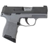 SIG SAUER P365 9MM LUGER (9X19 PARA) - 2 of 3