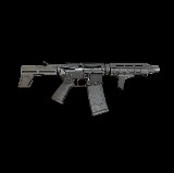 PALMETTO STATE ARMORY PA-15 Custom Build .300 AAC BLACKOUT