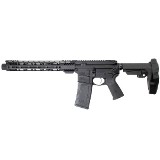 PALMETTO STATE ARMORY PA-15 .300 AAC BLACKOUT