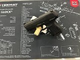 SIG SAUER P365 9MM LUGER (9x19 PARA)