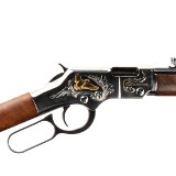 HENRY SILVER BOY DUCKS UNLIMITED EDITION MODEL H004DUS .22 S/L/LR - 3 of 3