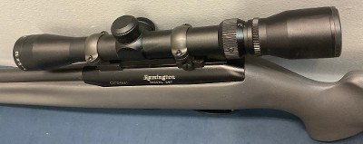 REMINGTON 597 .22 LR