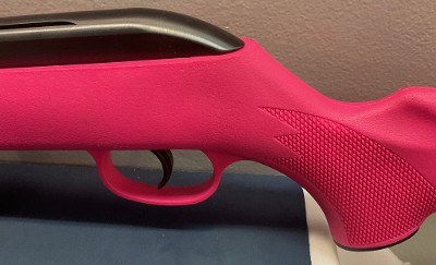 SAVAGE ARMS 64 .22 LR