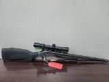NEW ENGLAND FIREARMS CO. SPORTSTER .17 HMR