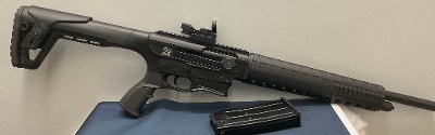 CHIAPPA FIREARMS ar12s 12 GA