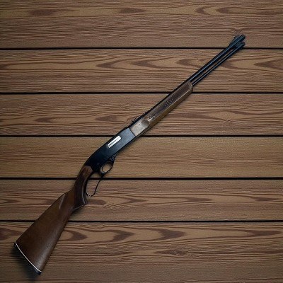 WINCHESTER 250 .22 S/L/LR