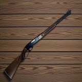 WINCHESTER 250 .22 S/L/LR