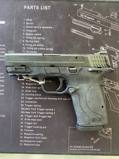 SMITH & WESSON M&P 9 SHIELD EZ M.20 9MM LUGER (9X19 PARA)