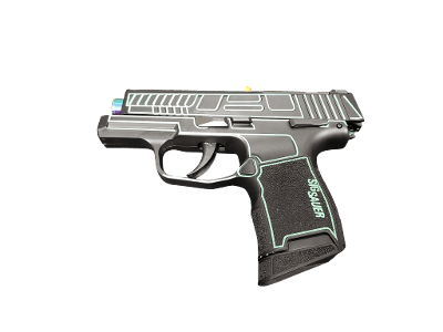 SIG SAUER P365 Outlands 9MM LUGER (9x19 PARA)