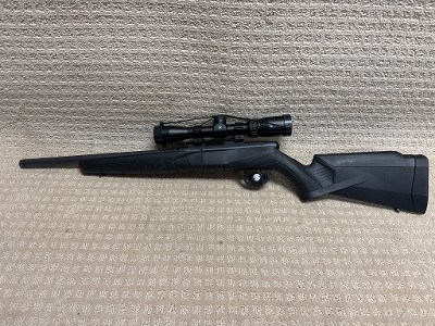 SAVAGE ARMS B17 .17 HMR