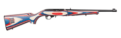 RUGER 10/22 USA SHOOTING TEAM .22 LR