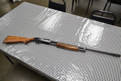 REVELATION 310C 20 GA