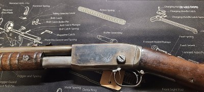 REMINGTON 12bw .22 LR