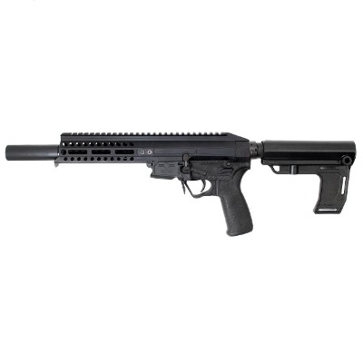 PATRIOT ORDNANCE FACTORY (POF) P-SG 22 .22 LR