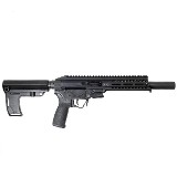 PATRIOT ORDNANCE FACTORY (POF) P-SG 22 .22 LR - 2 of 3