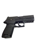SIG SAUER P250 9MM LUGER (9x19 PARA) - 1 of 3