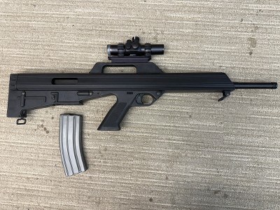 BUSHMASTER M17s .223 REM